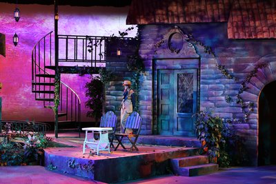 Theatrical production of 'Twelfth Night: or, What You Will,' Shakespeare’s festive comedy, directed by Ellen Mease and presented by the Grinnell College Department of Theatre & Dance. The poster features an illustrated stage set with labeled themes including mistaken identities, separated twins, shipwreck, rescue from the sea, and cross dressing. Performance dates and location details are provided.